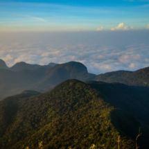 10380762_730638597031085_3735150695454461187_n