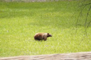 13178703_1011082985653310_8863968199617880937_n