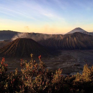 14502843_1120823561345918_2020040784160436189_n