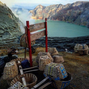 14563466_1120821654679442_3448286437512495710_n