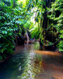 Indonesie 779 – kopie