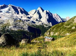 14102647_1082219878539620_4266047821915356065_n