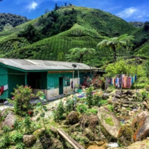 17155768_607437906129294_2448372837108954094_n