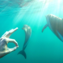 DCIM100GOPROGOPR8992.