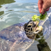 027B4685-2021-44B0-9CFE-2DFCD7887906