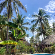 14A6CA54-7F8F-4C55-8085-770D1B7960B8