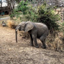 18F5C5D3-4757-47AB-BAC7-887CF1B2427E