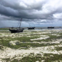 1D90E0C8-D485-4B46-B972-20A41637F393