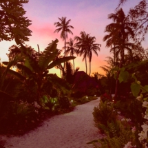 1DA14DD9-B732-4A0D-B20D-7D96AA65FFC7