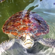 2111F1B8-B8AD-49E5-9598-91810064DB6C