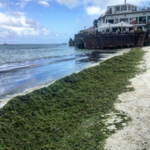 29129B63-B598-49A1-A18B-98D99A64C48F