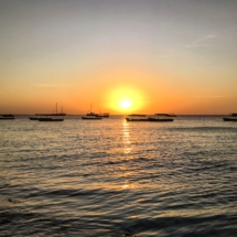 2E1ED4CC-D56A-49F2-83CA-0A58DB56E501