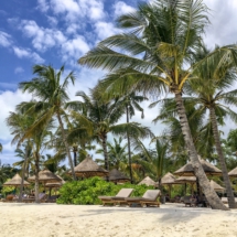 396ED863-4FA2-4A83-A413-BB80D26141AA