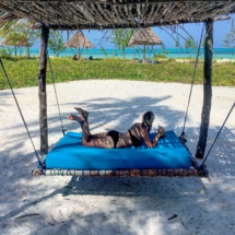 397C92C9-A353-4E2A-AF40-CC6AE3508144