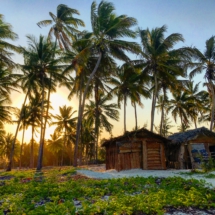 3B7AA1B1-33A5-4F71-8CF1-26CF85167806