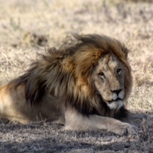 615AAE00-918B-4FC4-86EB-F2283AE366EA