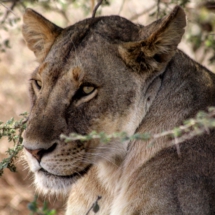 671601CB-23F8-418A-BAAB-F3BDF01BD76F