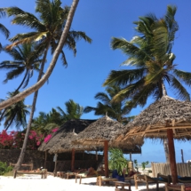 7294D2F8-ECA5-46C4-B8E4-B7A3FBE4C58D