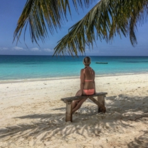 7356735C-598B-4A03-9918-5902FC758622