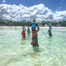 7E033522-EAD1-4D3F-BCCA-A8558F4D98F5