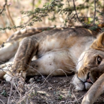 88DC20DB-7D2B-42D5-983F-5AD870DF79FA