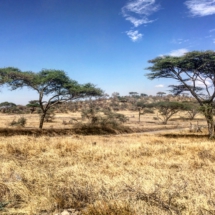 8CE1B817-6BD4-41AA-BDA5-5DC1197ADFF0