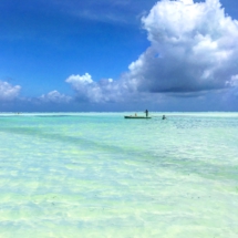 8DE5B469-0A19-41E4-B47D-CC7EA353DF89