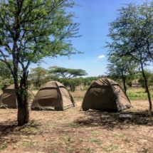 9AC80B92-387E-4BF4-A4A7-2B2051CA6405