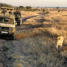 9AE7C831-54B1-4251-9533-2E6473B451B7