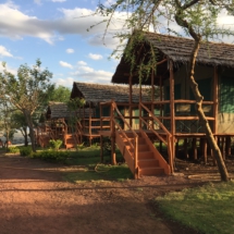 AAACF973-74E2-4278-BB38-8DFBB3495276