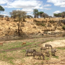 AD5A6F00-B205-4D84-9445-A46E4ED40671