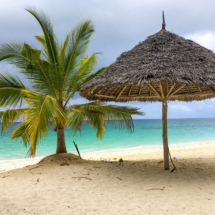 ADB1F8DE-7FFF-4D29-A78B-1E287577F57D