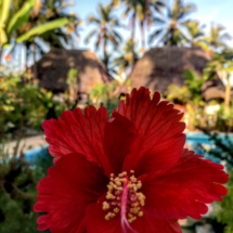 BB665043-63FD-4F8D-8C2A-BA3F18B624D7