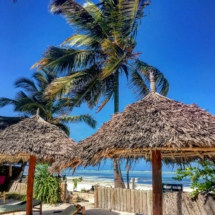 CA99D4E7-B01A-4D35-99DB-F4A32C1CD0CA