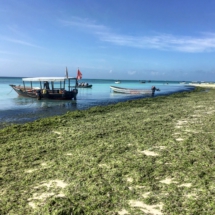 D310EF4F-5F9C-48AC-B44C-910C57F4FB61