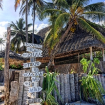 D3E62310-2966-4E1D-A14C-F2FCE6BBFE0A