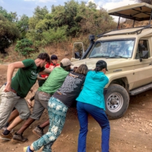 D584C399-BE62-480D-8E21-692C31737F3D