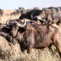 D77B9B86-38D5-4D14-B1DA-67F0D7959537