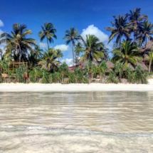 F2B50632-E784-496B-A064-5F047D3FCB0D