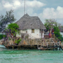 F7F8F79F-E954-412E-A1E5-2838FB9B677E