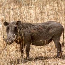 FF2D6F2F-1A9A-48A4-91BA-B8510DE63A3C