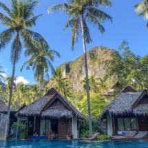 0175941D-416D-4DE2-A981-F92321814748