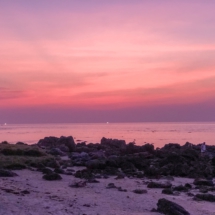 1AE2D8EC-B44F-4F21-8AE5-8CD12C78C561