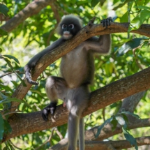 2E767185-1E72-4BBE-8398-761C25D290D8