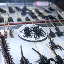 2F497CF6-2F44-49E9-B48D-0CD4087669CD