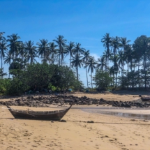 3C36971D-867E-47C8-BF93-25E5A41F0344