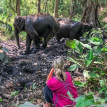 40BF1D14-7E6E-4045-9050-DF063395ED28