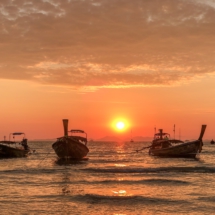 41099F6F-2C94-45B9-9AF1-BE778D4D3D95