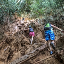 4A499C7F-8EDF-4878-827C-665E76AA8B7C