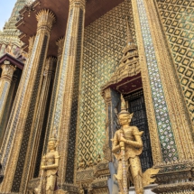 55DE9177-4EAD-492B-9309-D5D26ECF31C3